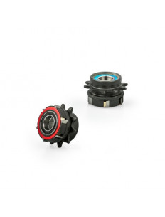 DARTMOOR Driver 11T do piasty tylnej Reel Pro Singlespeed v.2 stalowy