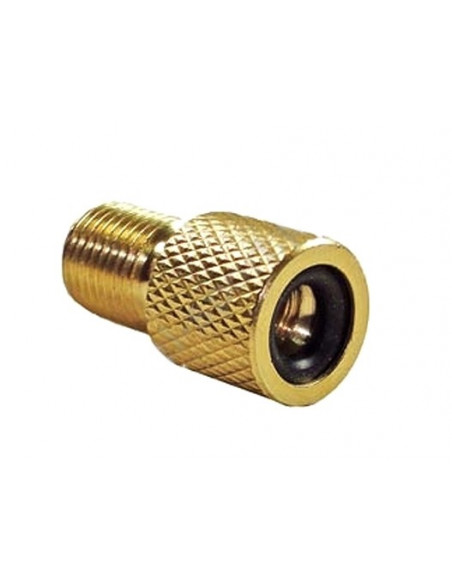 Adapter DV AV