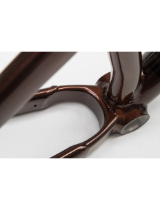 NS BIKES Rama DECADE V2 - 2021 Chocolate 2