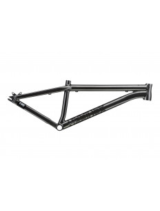 NS BIKES Rama DECADE V2 - 2021 Chrome
