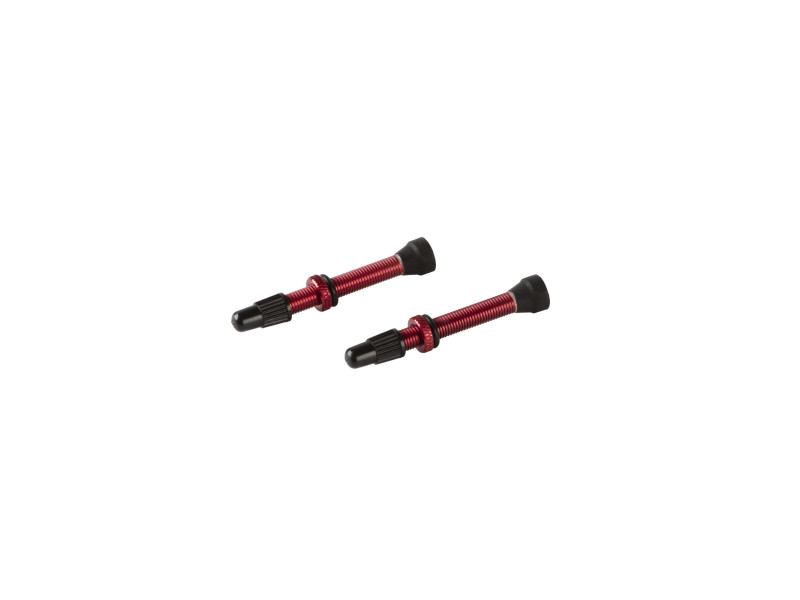 ACCENT Wentyle Tubeless